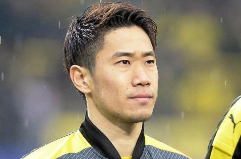 冰冷热带鱼完整版