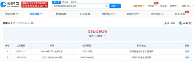 97久久精品国产成人影院