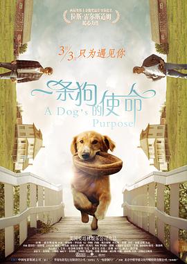 前卫按摩