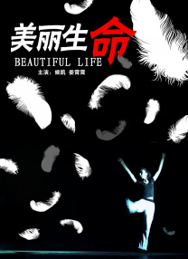 a在线观看视频