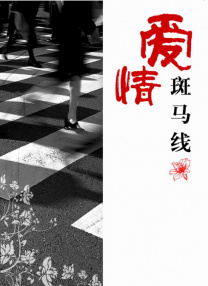 少妇被粗大猛烈进出免费视频