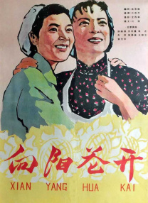 www一区