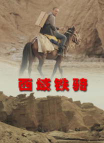 国产激情视频在线观看